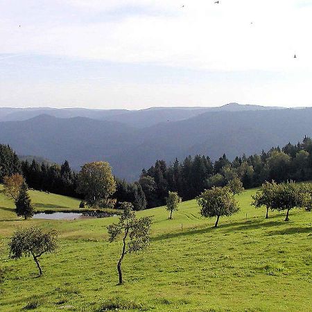 Schanzenberghof Hornberg Ngoại thất bức ảnh