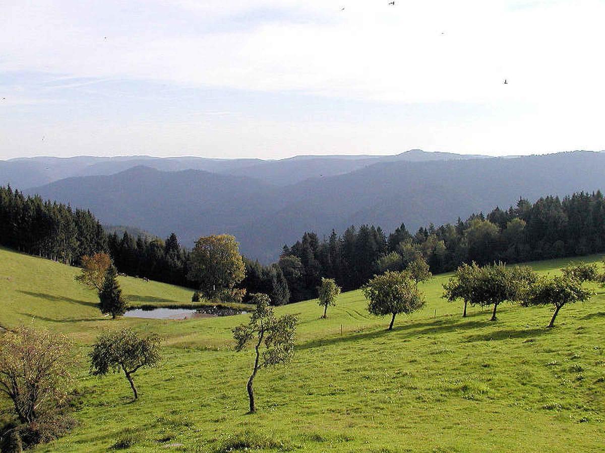Schanzenberghof Hornberg Ngoại thất bức ảnh